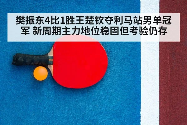 ping pong racket