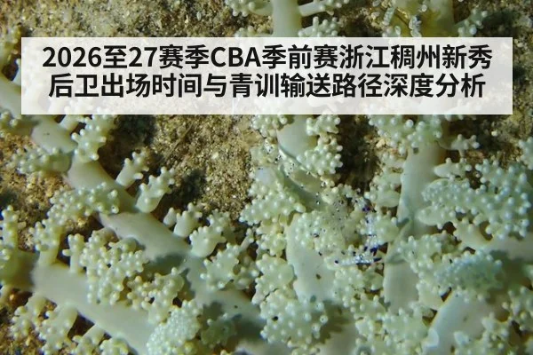 2026至27赛季CBA季前赛浙江稠州新秀后卫出场时间与青训输送路径深度分析 - jiuyou game