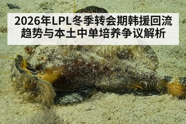 2026年LPL冬季转会期韩援回流趋势与本土中单培养争议解析